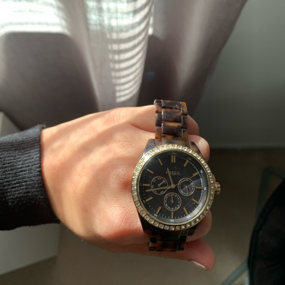 Tortoise fossil watch